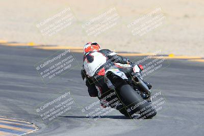 media/Mar-10-2024-SoCal Trackdays (Sun) [[6228d7c590]]/9-Turn 8 Backside (1150am)/